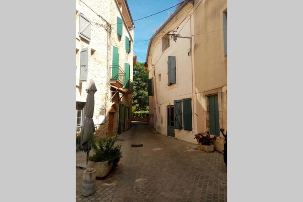 Character Filled House Overlooking The River Cesse Bize-Minervois Extérieur photo
